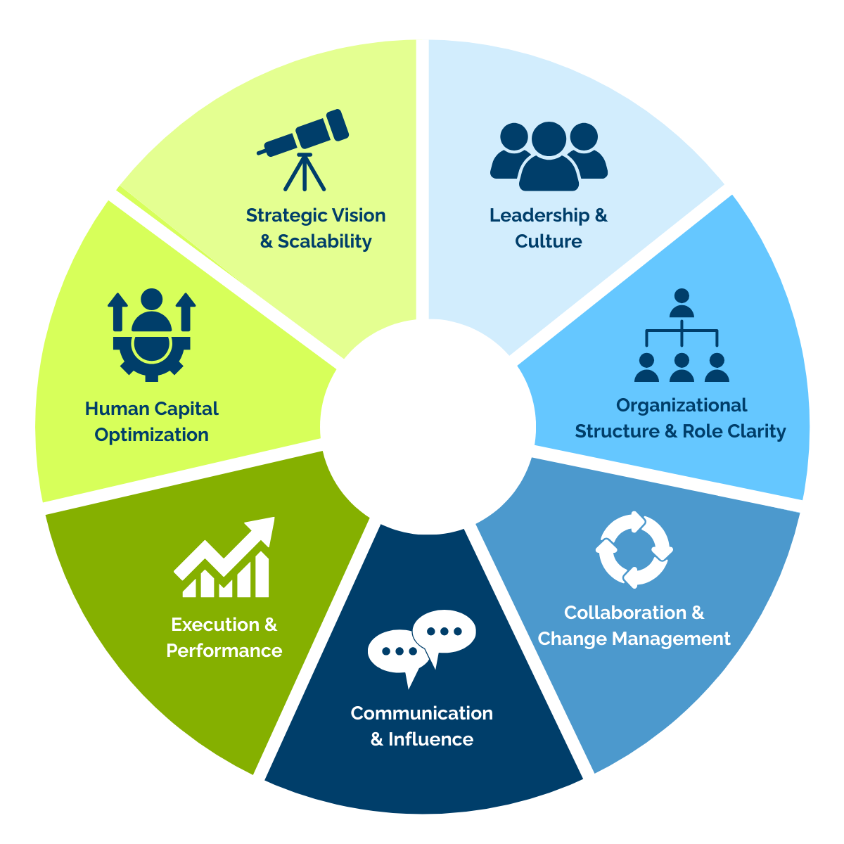 Organizational Assessment & Leadership Execution Framework - Graphic 2025